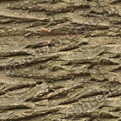 High Resolution Seamless Textures 0064